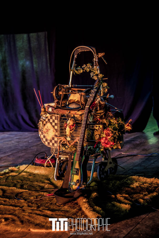 Irma Zone-Grenoble-2016-Sylvain SABARD