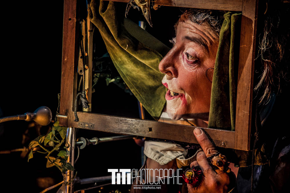 Irma Zone-Grenoble-2016-Sylvain SABARD