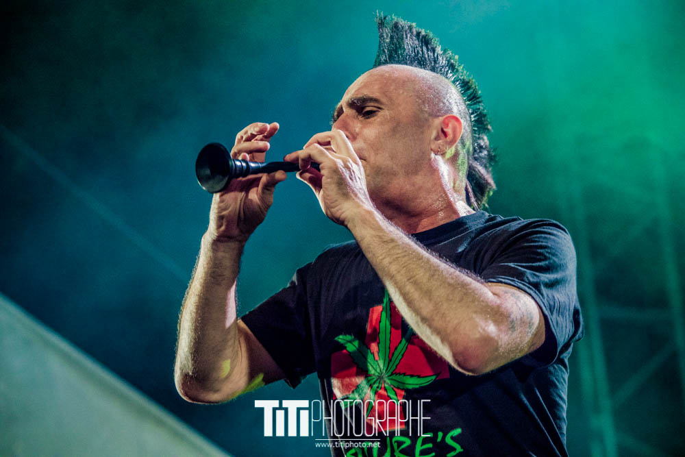 Les ramoneurs de menhirs-Grenoble-2016-Sylvain SABARD