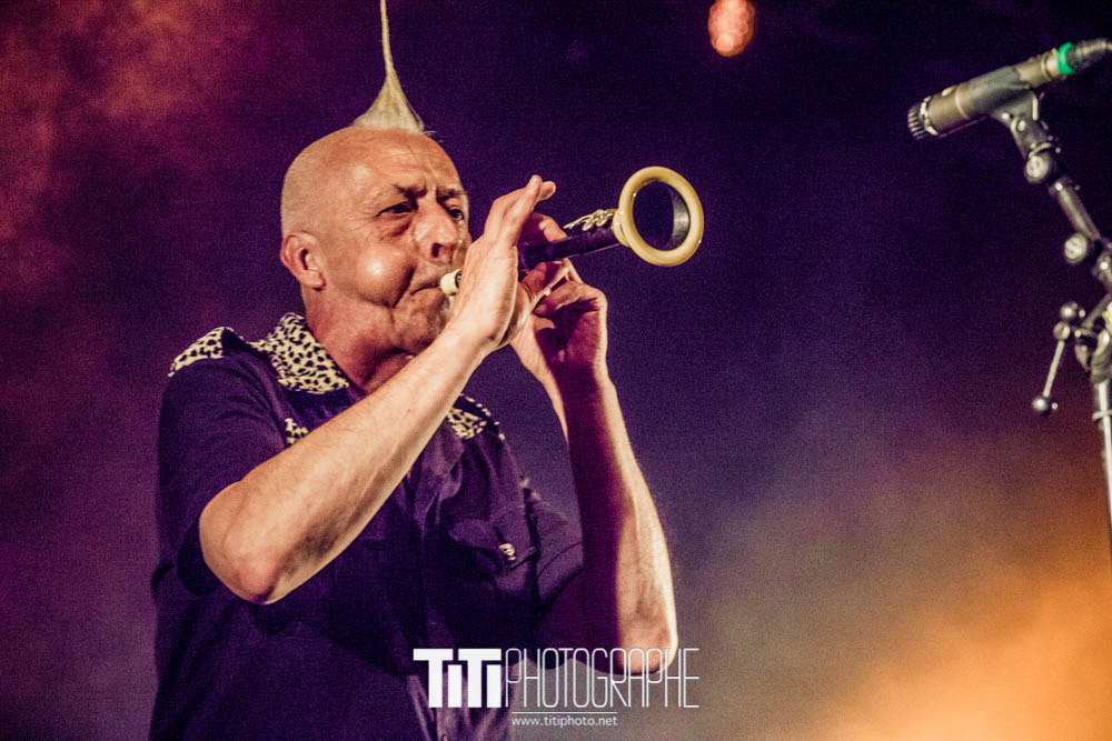 Les ramoneurs de menhirs-Grenoble-2016-Sylvain SABARD