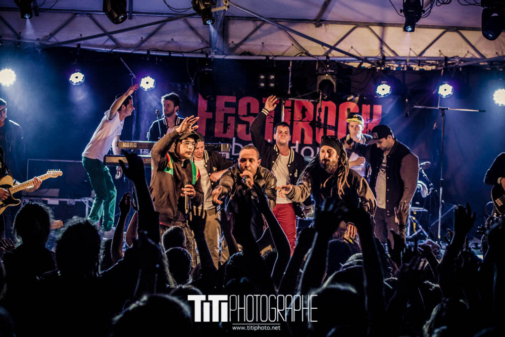 Feuille de roots-Les Adrets-2016-Sylvain SABARD