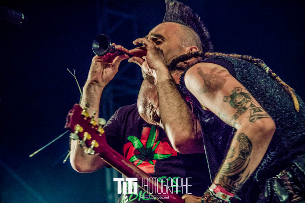 Les ramoneurs de menhirs-Grenoble-2016-Sylvain SABARD