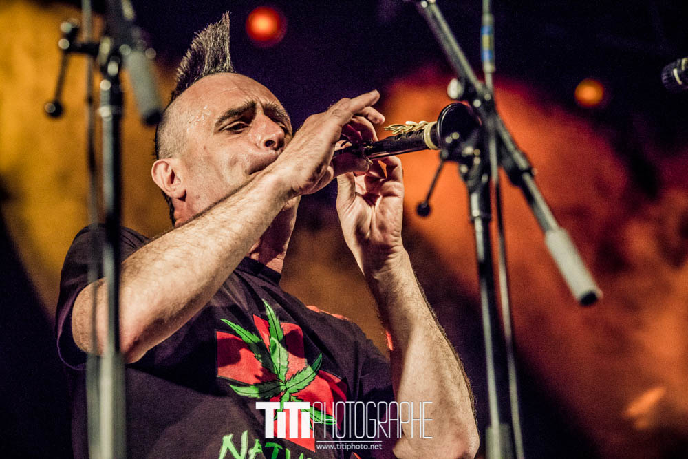 Les ramoneurs de menhirs-Grenoble-2016-Sylvain SABARD