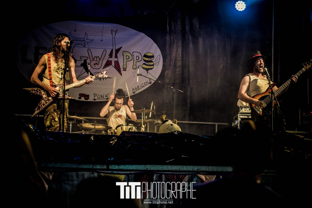 Les Gwapps-Rencontres Brel-2016-Sylvain SABARD