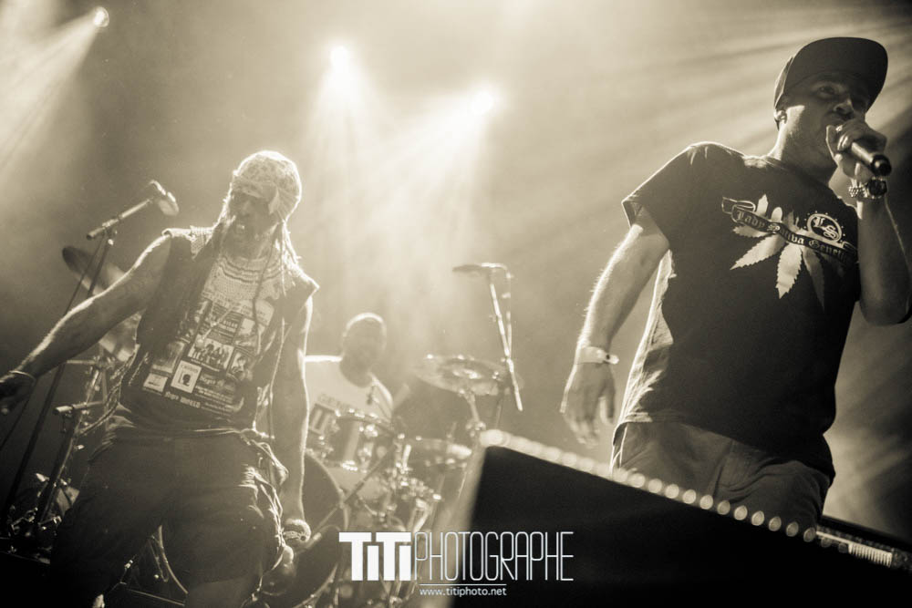 Asian Dub Foundation-Rock N Poche-2016-Sylvain SABARD