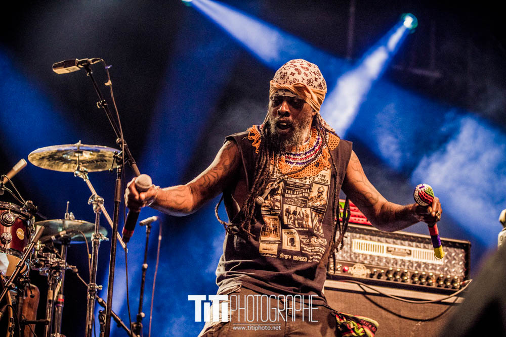 Asian Dub Foundation-Rock N Poche-2016-Sylvain SABARD