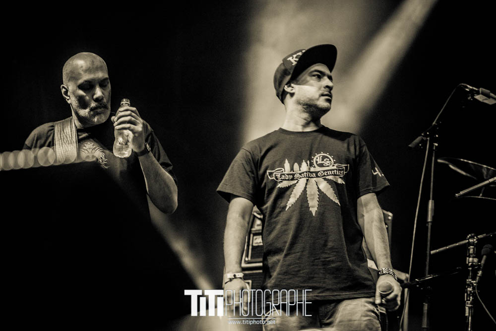 Asian Dub Foundation-Rock N Poche-2016-Sylvain SABARD