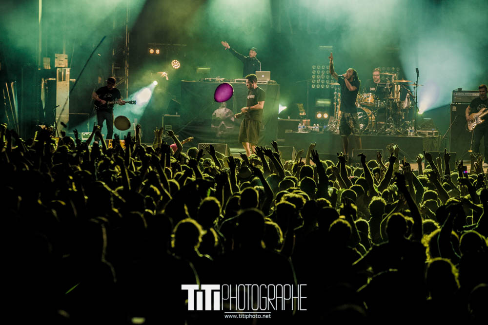 Caribbean Dandee-Rock N Poche-2016-Sylvain SABARD