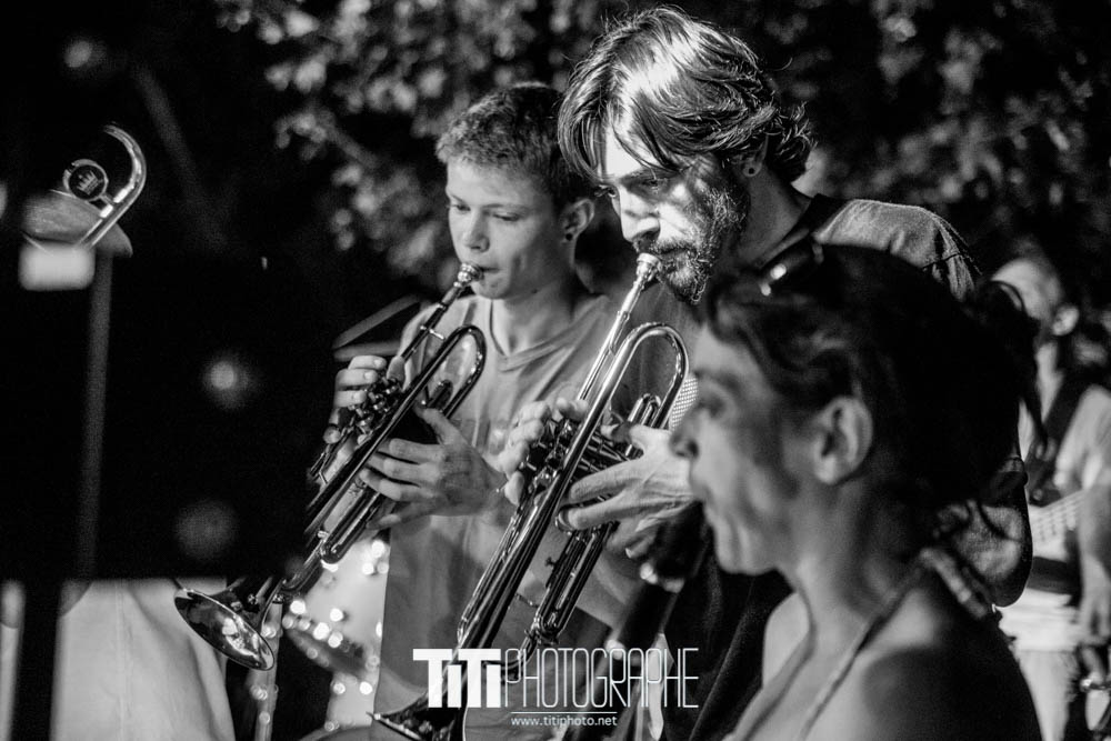 ARTISTE-Grenoble-2016-Sylvain SABARD