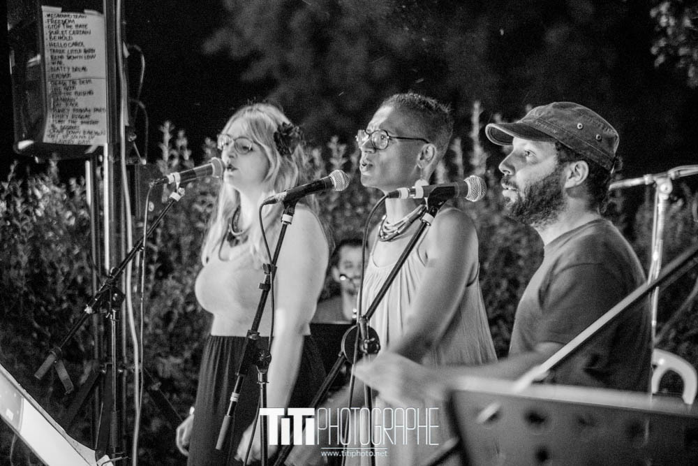 ARTISTE-Grenoble-2016-Sylvain SABARD