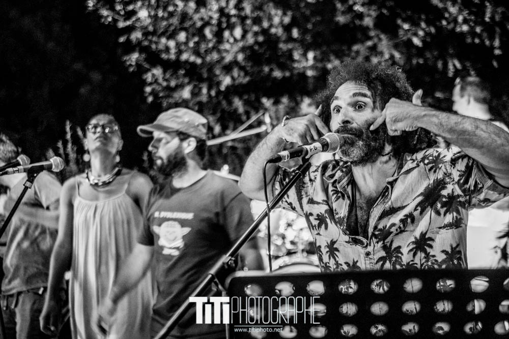 ARTISTE-Grenoble-2016-Sylvain SABARD