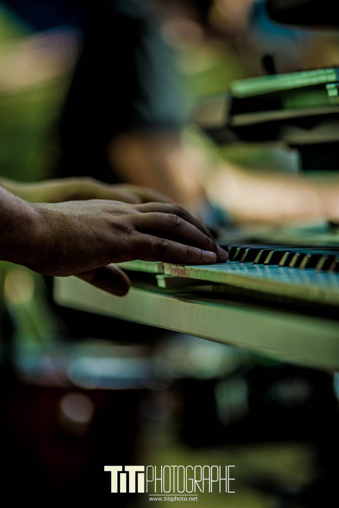 Disk-R-Alp'in Dub-2016-Sylvain SABARD