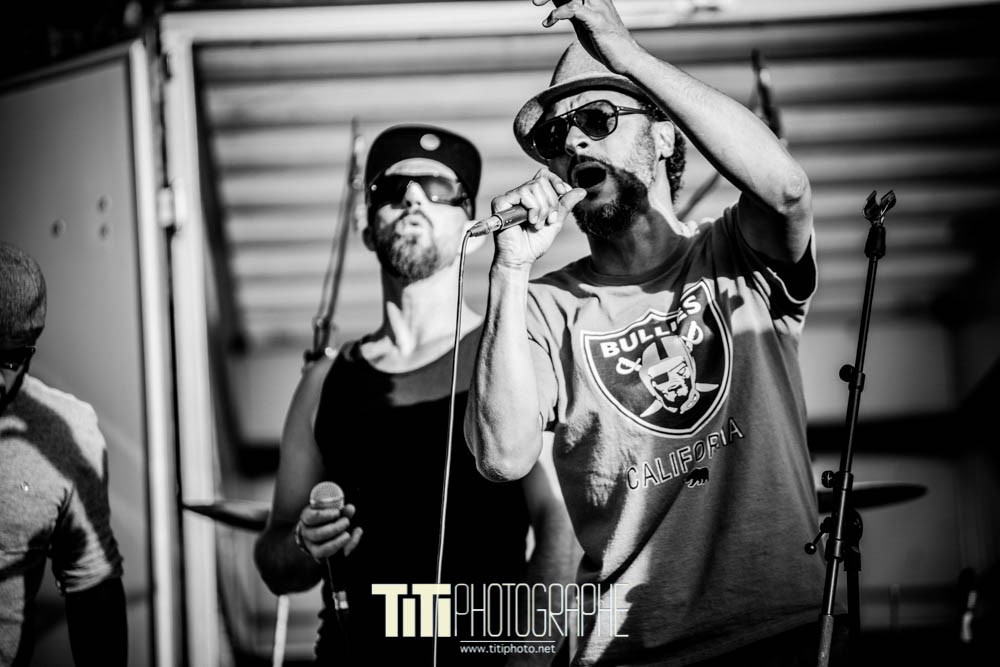 Disk-R-Alp'in Dub-2016-Sylvain SABARD