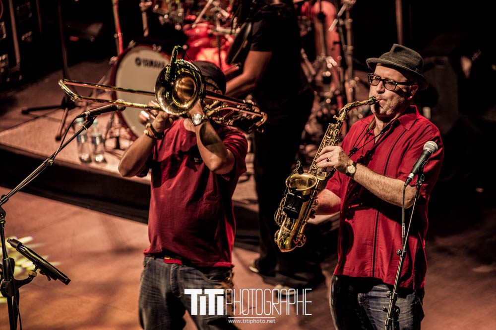 Horace Andy-Grenoble-2016-Sylvain SABARD
