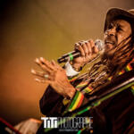 79/365 – Kiddus I – 10 ans de Live