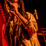 169/365 – Wailing Trees – 10 ans de Live