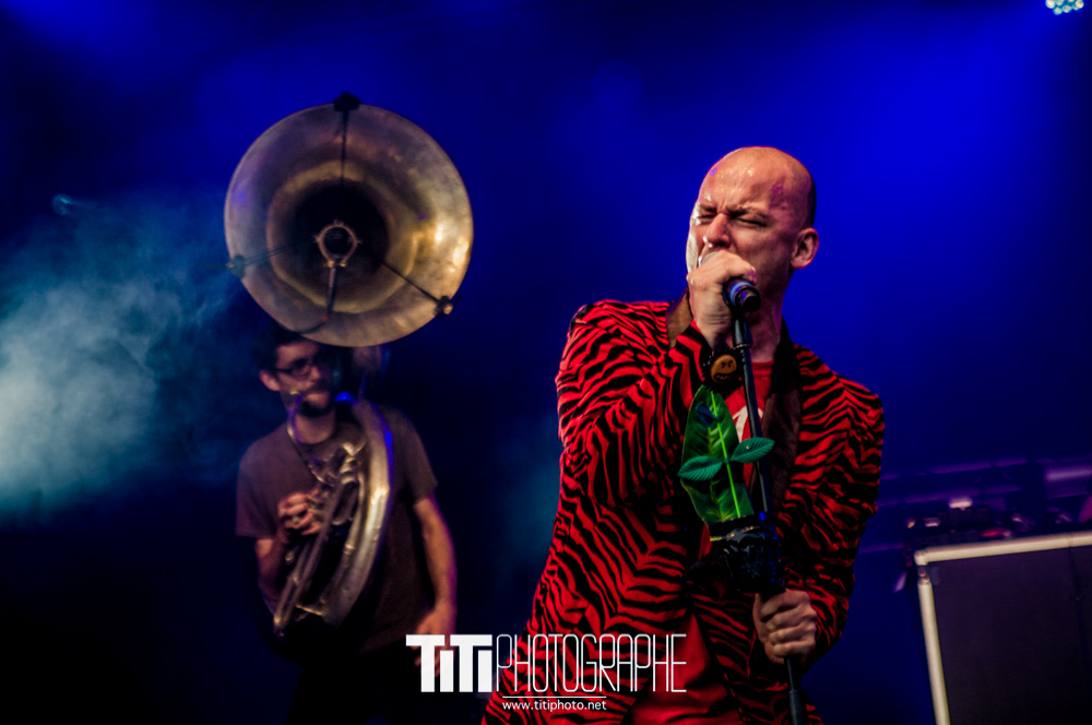 205/365 – Monstroplante – 10 ans de Live