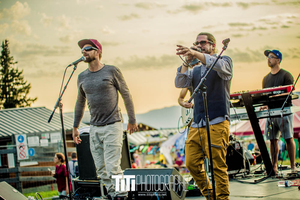 ARTISTE-Grenoble-2017-Sylvain SABARD