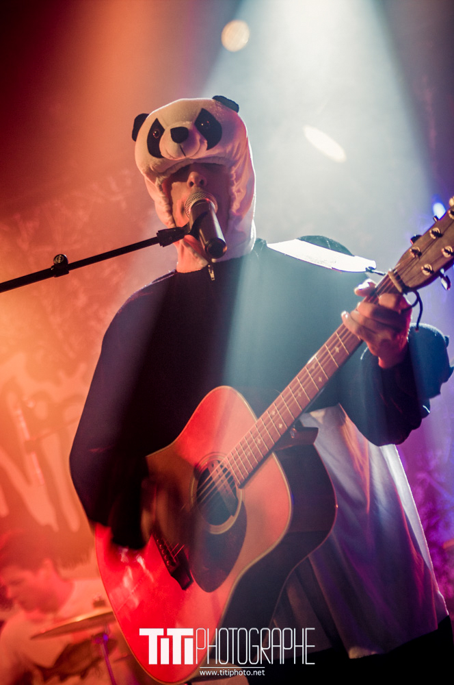 282/365 – Animali – 10 ans de Live