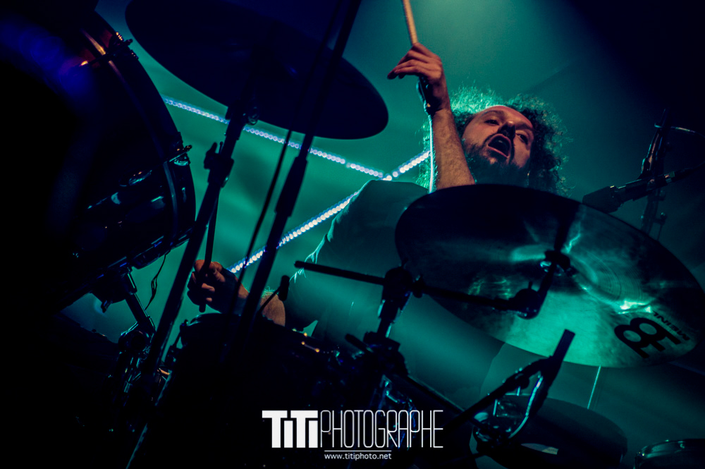 347/365 – Cats on trees – 10 ans de Live