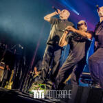 353/365 – Zebda – 10 ans de Live