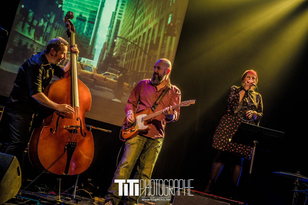 TheFrenchBastard-Grenoble-2017-Sylvain SABARD