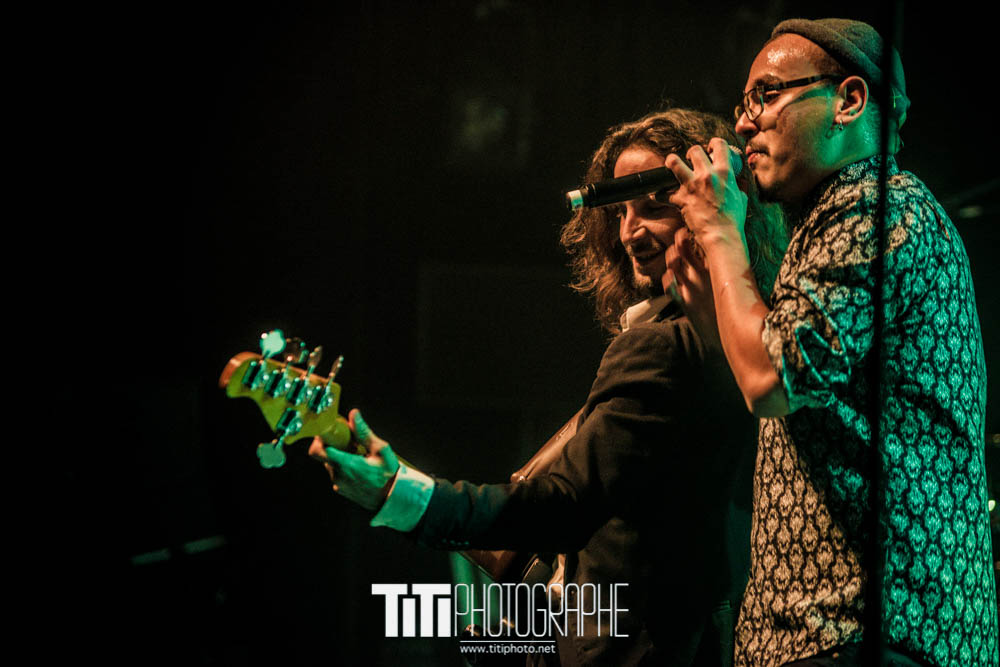 Wailing Trees-Grenoble-2017-Sylvain SABARD