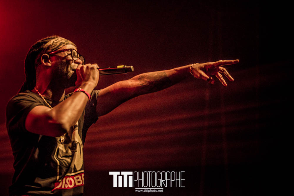 ARTISTE-Grenoble-2018-Sylvain SABARD