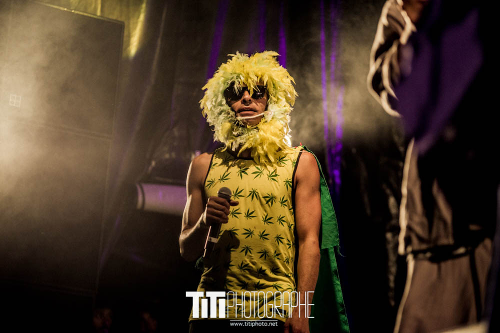 Puppetmastaz-Grenoble-2018-Sylvain SABARD