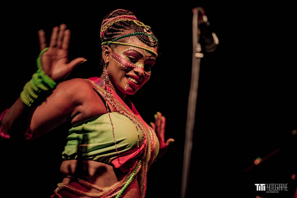 Femi Kuti-Grenoble-2018-Sylvain SABARD