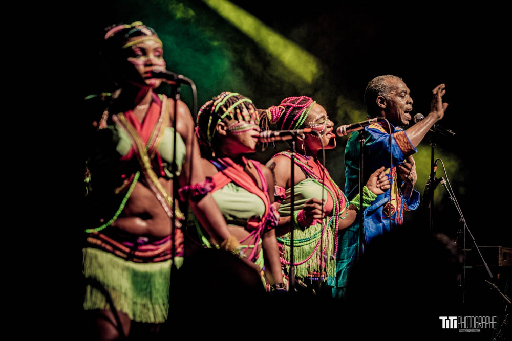 Femi Kuti-Grenoble-2018-Sylvain SABARD