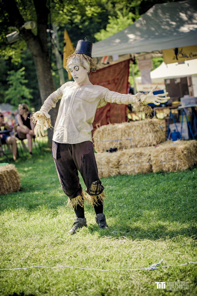 20190629-Reste pas planté là-TA-2071.jpg