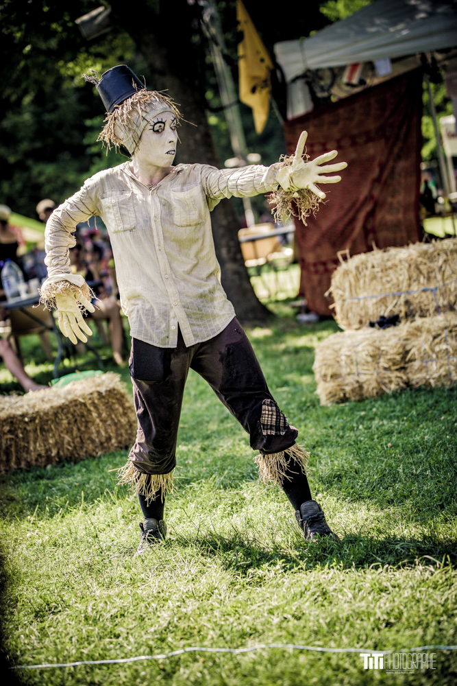 20190629-Reste pas planté là-TA-2075.jpg