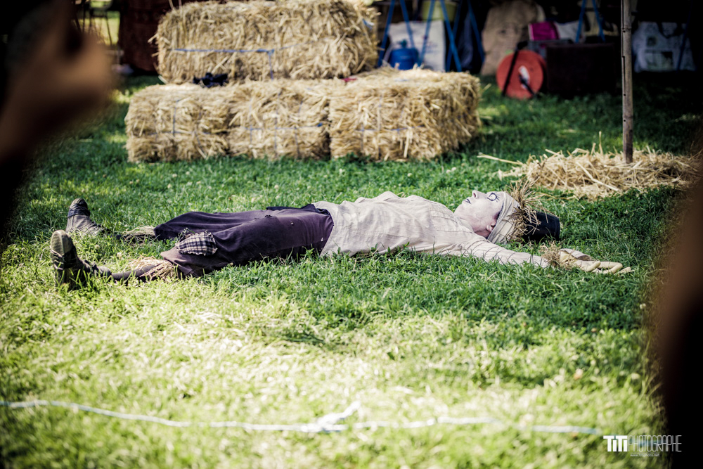 20190629-Reste pas planté là-TA-2080.jpg