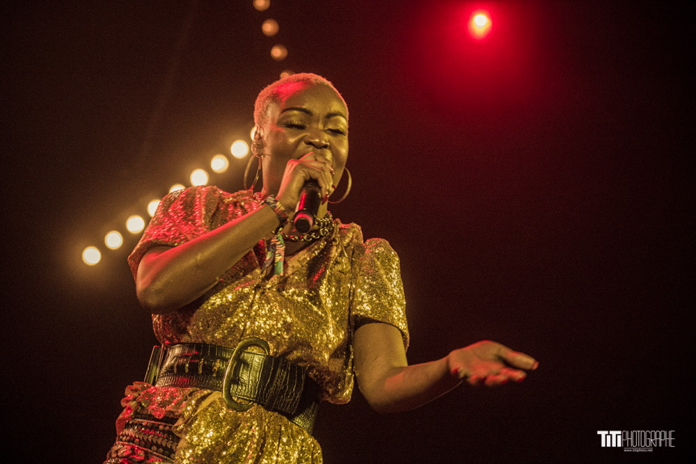 Pongo – Holocène – 18/10/2019