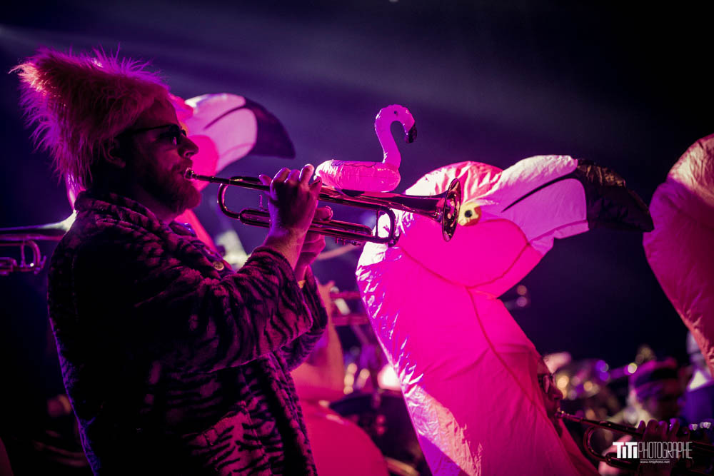 20200208-Pink It Black-La Belle Electrique-9819.jpg