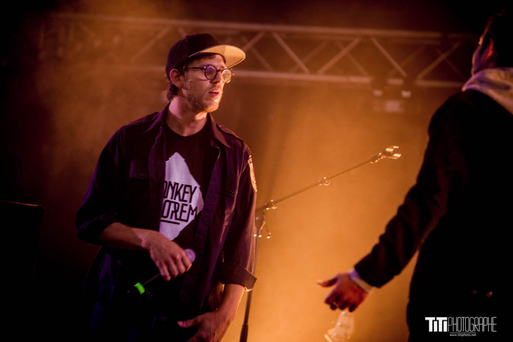 Monkey Theorem-Grenoble-2021-Sylvain SABARD