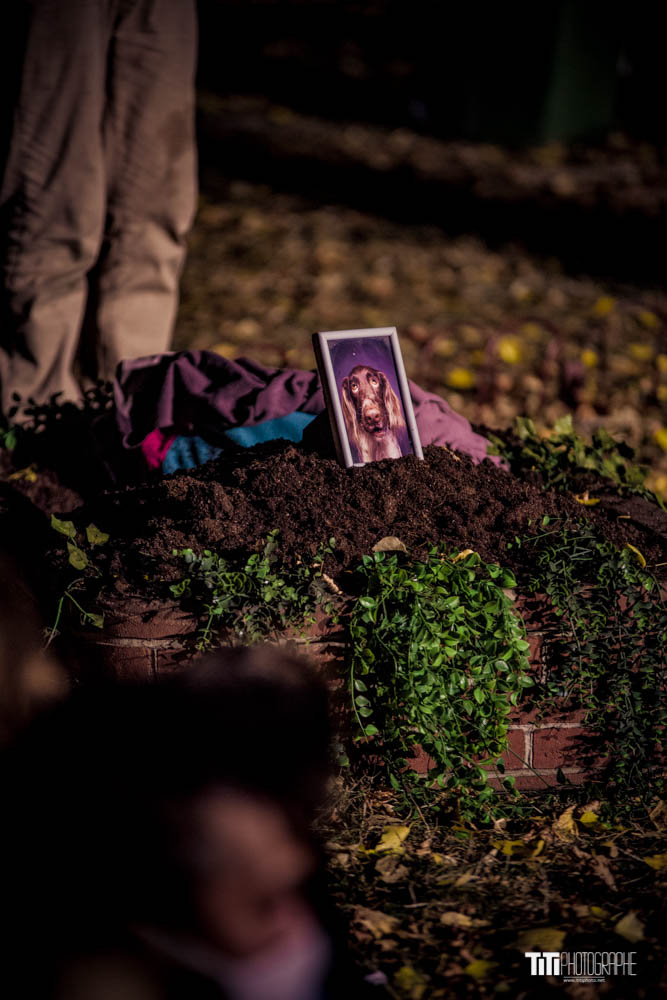 Cie L'Arbre à Vache-Grenoble-2021-Sylvain SABARD