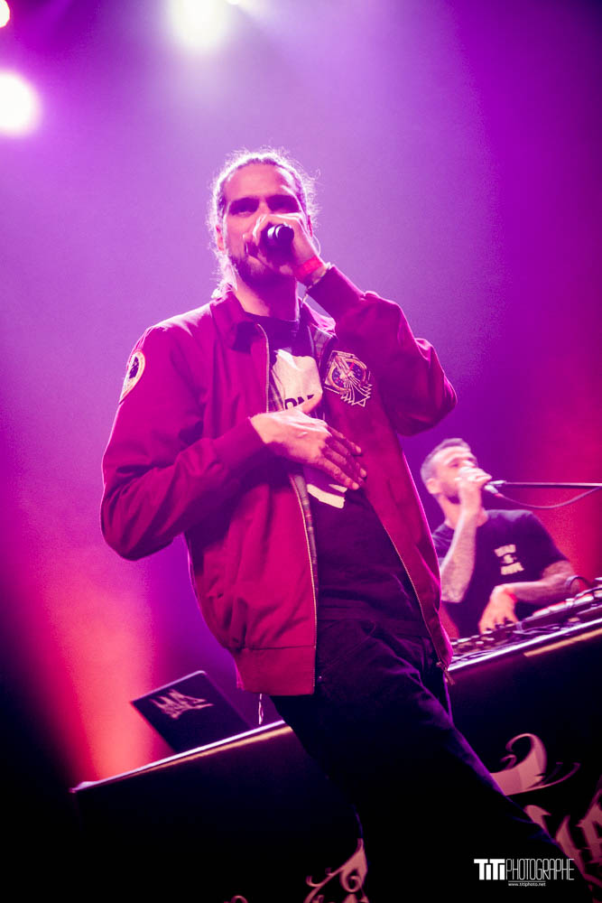 Monkey Theorem-Grenoble-2024-Sylvain SABARD