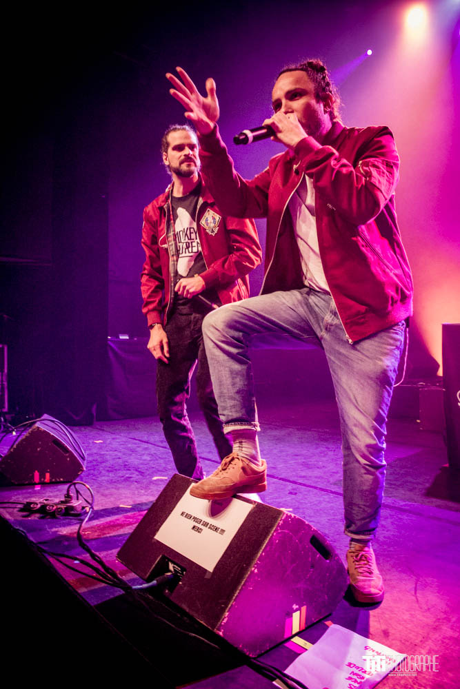 Monkey Theorem-Grenoble-2024-Sylvain SABARD