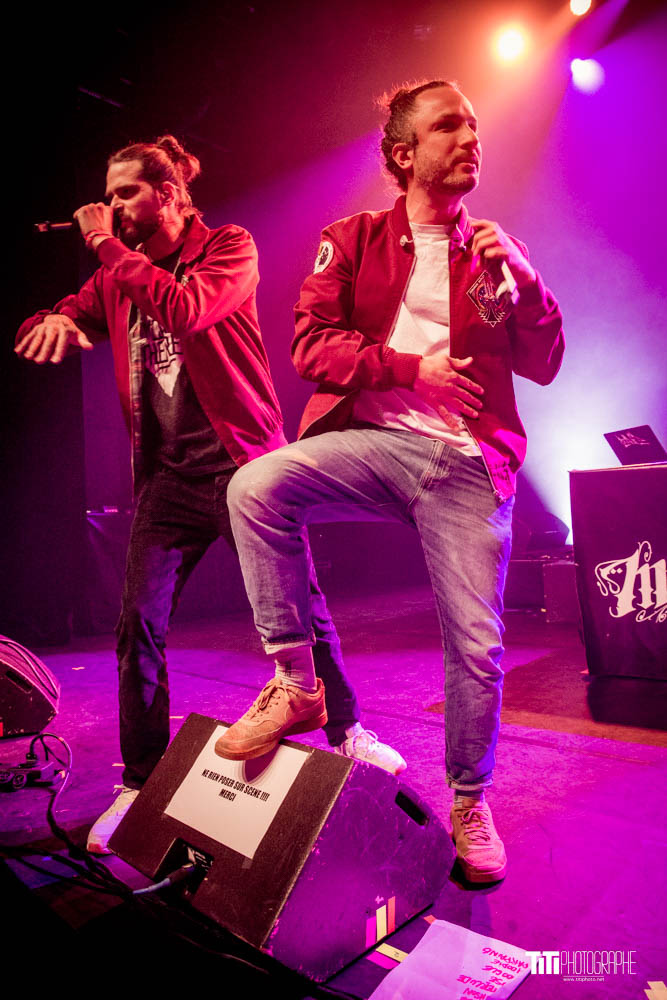 Monkey Theorem-Grenoble-2024-Sylvain SABARD