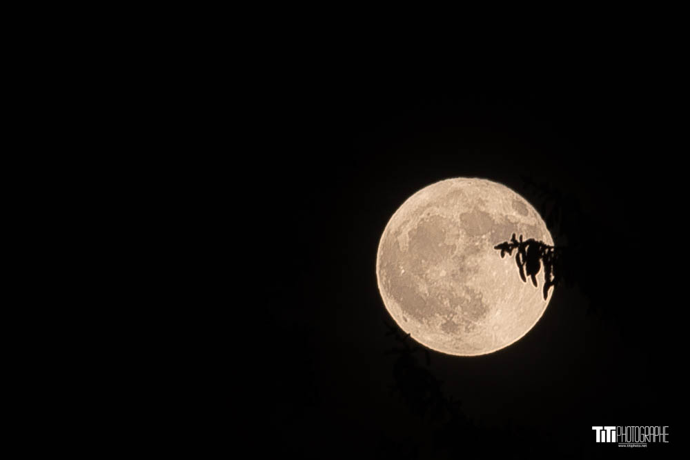 Djazia Satour-Grenoble-2024-Sylvain SABARD